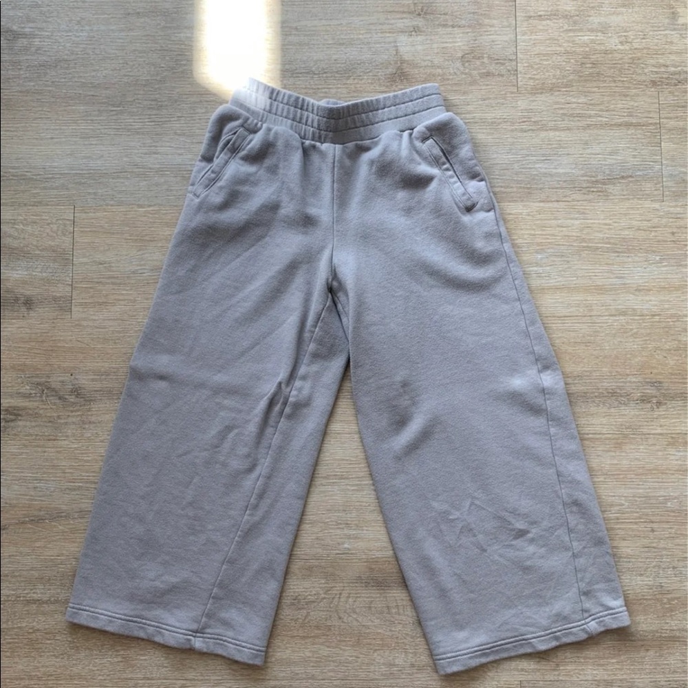 Aritzia Sweat Pants